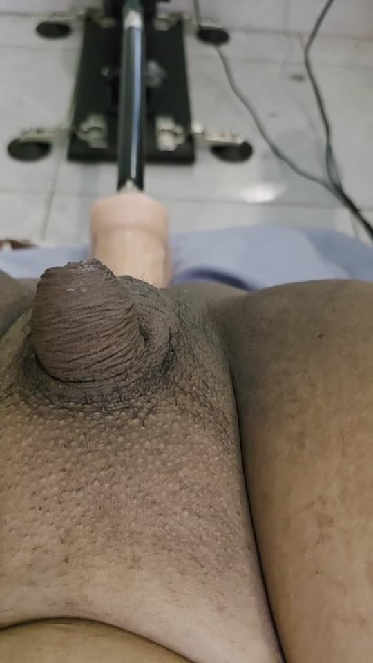 Provocante, de meia-calça rasgada — travesti TS Mar Saenz / soypuroplacer sem