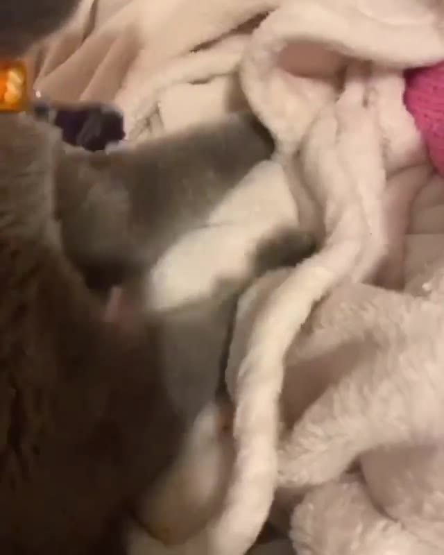 Caiu na net: Hannah OwO nua tomando sol na varanda