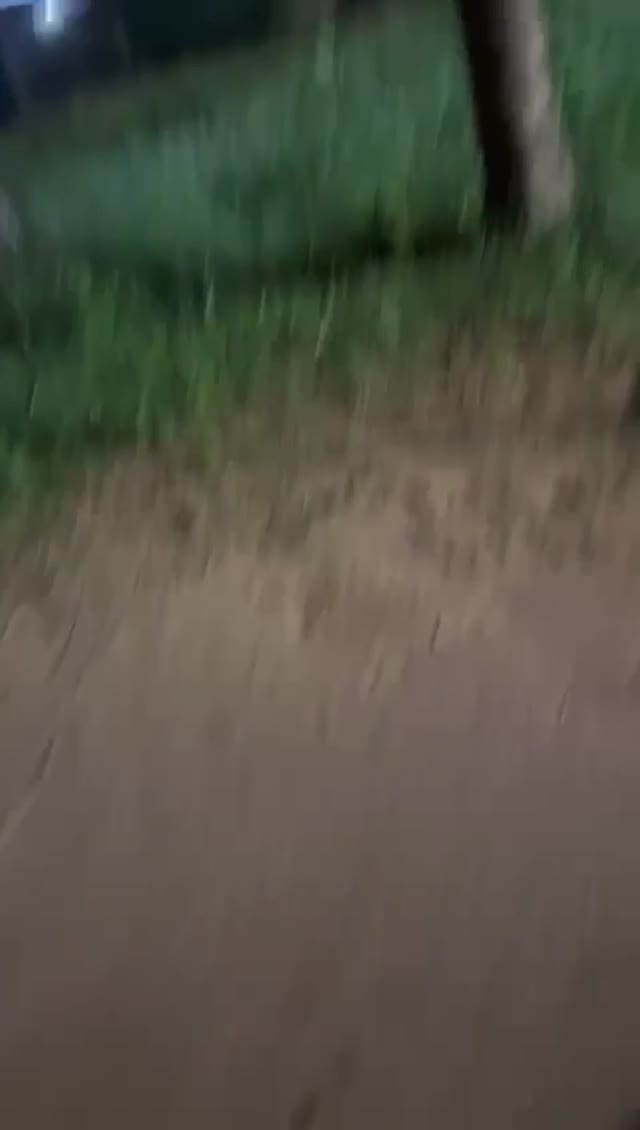 Tgirl Ninfa Japa de salto alto e mais nada