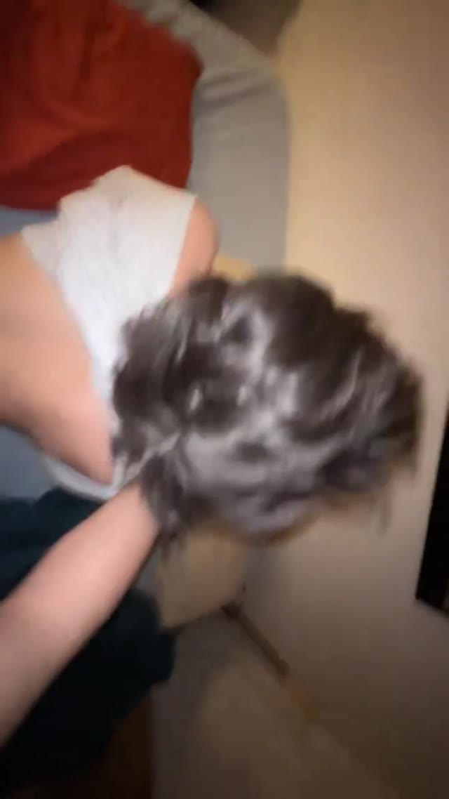Vídeo +18 trans: Jjnnyyx / jjenxnyy / jjnnyyx (FEMBOY) Jjnnyyx — peladinha