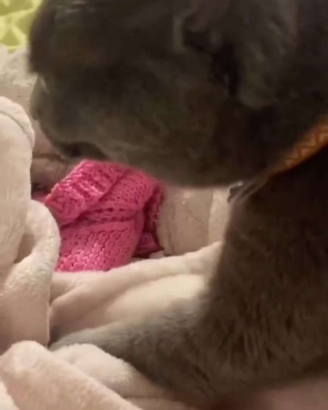 Caiu na net: Hannah OwO nua tomando sol na varanda