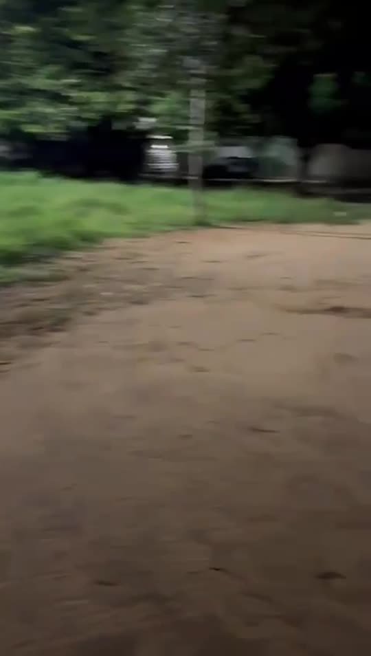 Novinha Ninfa Japa se despindo devagar, no chuveiro se ensaboando