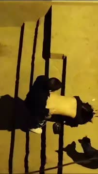 Rebolando gostoso — modelo